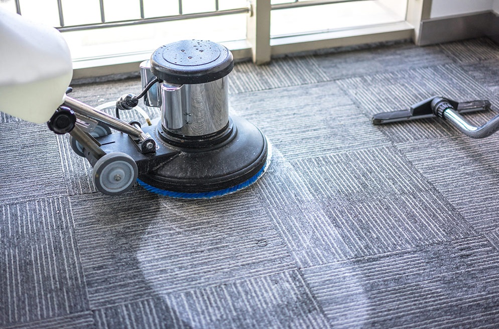 How to Choose the Right Carpet Cleaner for Your Home